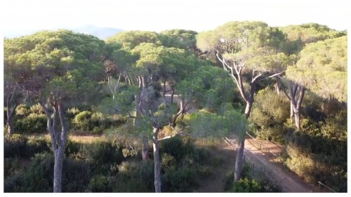 Castiglione della Pescaia